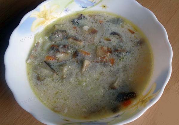Грибной суп
