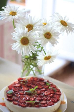 Бисквитный пирог с ягодой и желе