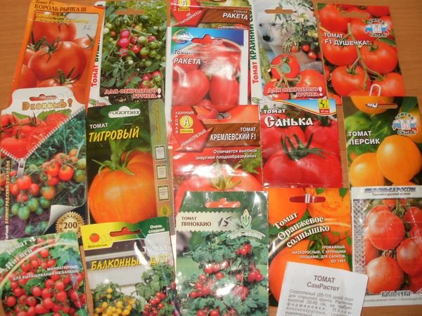 томаты для открытого грунта