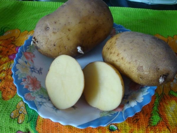 Вопросы о картофеле