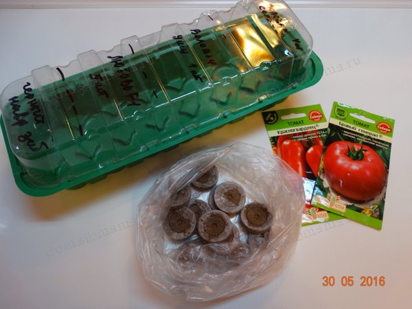 Выращивание рассады томатов в торфяных таблетках. Как сажать и выращивать томаты в торфяных таблетках