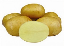 Картофель сорта Джелли