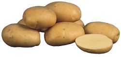 Картофель сорта Агата