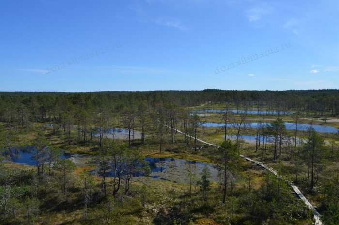 Эстония. Учебная тропа Вируского болота