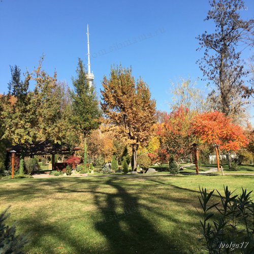 Японский сад в Ташкенте