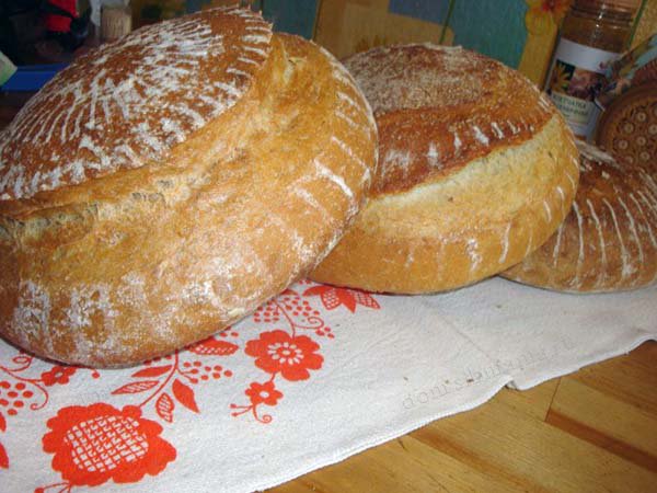 Хлеб на спелом тесте