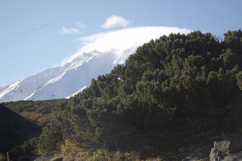 вулкан Бакенинг Камчатка