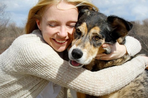 Заблуждение №9: Собаки любят, когда их обнимают и треплят по шерсти