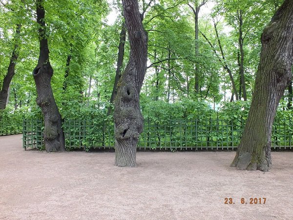Летний сад Петербург