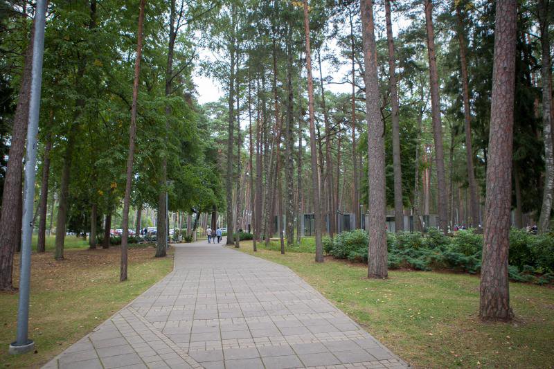 Юрмала Латвия парк Дзинтари