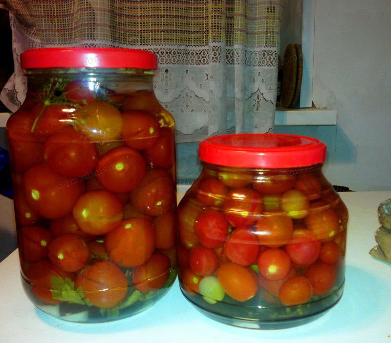 Маринованные помидоры от бабушки Маруси