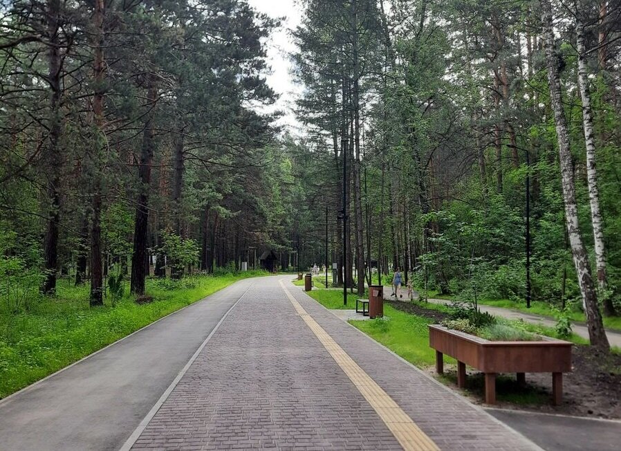 Заельцовский парк в новосибирске фото