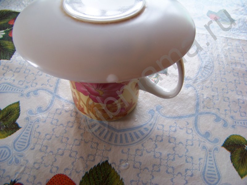 Иван - чай (или Копорский чай)