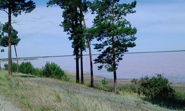 Малиновое озеро, Михайловский район Алтайского края