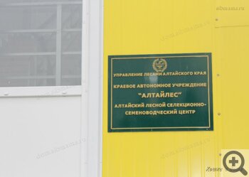 Алтайский лесной селекционно-семеноводческий центр