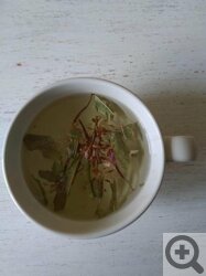 Чай из листьев и цветов Кипрея