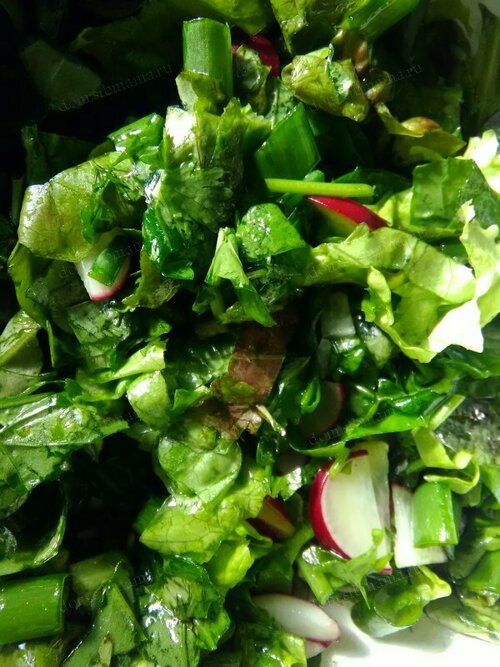 19 рецептов вкусных и полезных салатов с редисочкой от сибмам
