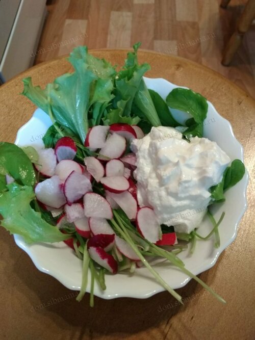 19 рецептов вкусных и полезных салатов с редисочкой от сибмам