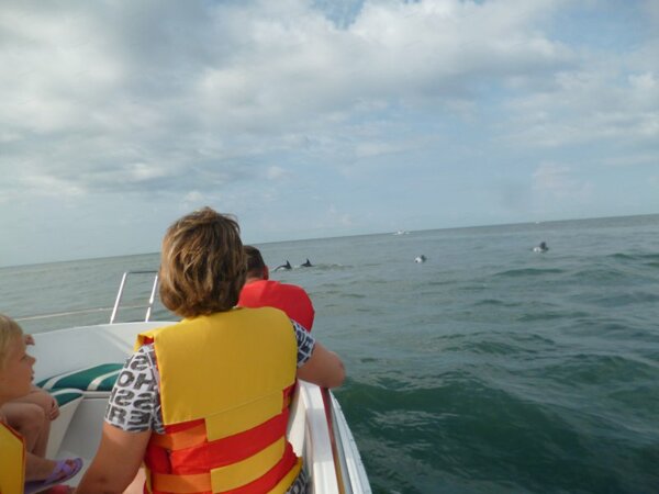 Экскурсия В гости к дельфинам