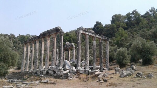 Минутах в пятнадцати езды от Бафы расположен храм Зевса