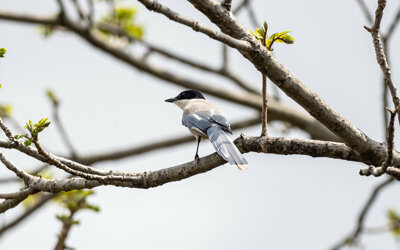 �������� ��������